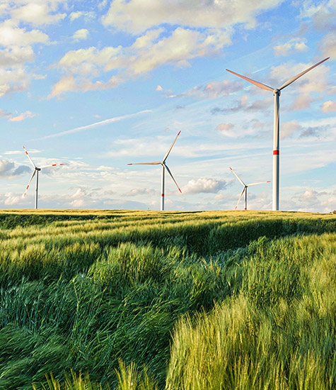 Image: blending-style-blog-cont-4